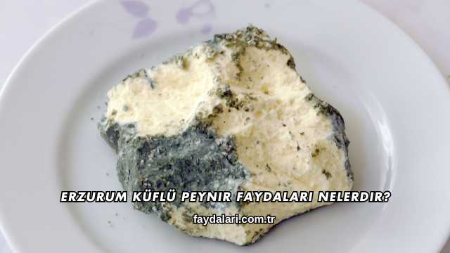 Erzurum Küflü Peynir Faydaları Nelerdir?
