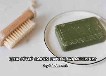 Eşek Sütlü Sabun Faydaları Nelerdir?
