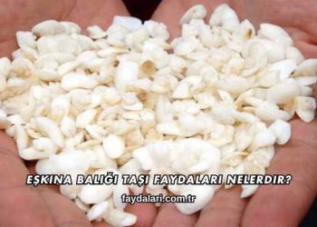 Eşkina Balığı Taşı Faydaları Nelerdir?