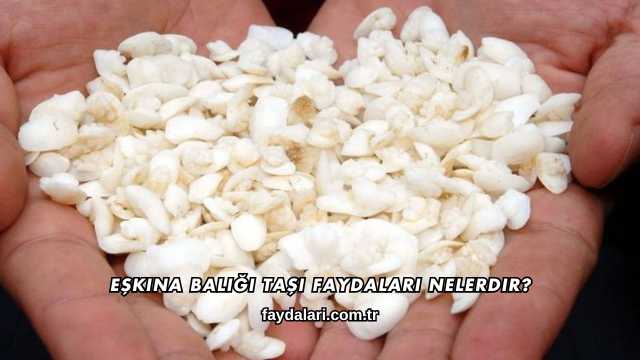 Eşkina Balığı Taşı Faydaları Nelerdir?