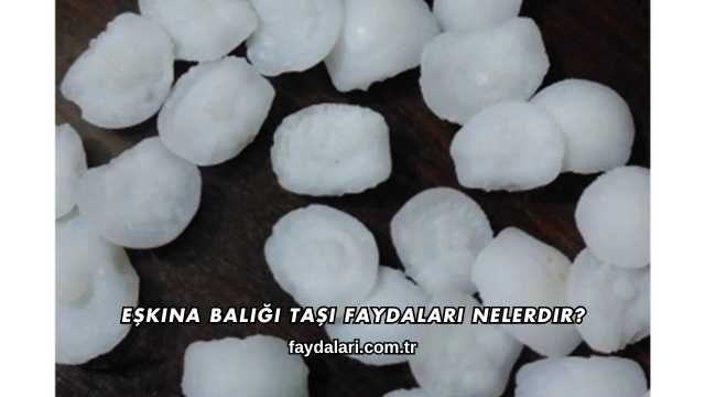 Eşkina Balığı Taşı Faydaları Nelerdir?