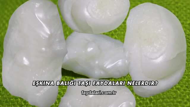 Eşkina Balığı Taşı Faydaları Nelerdir?