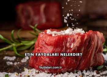 Etin Faydaları Nelerdir?