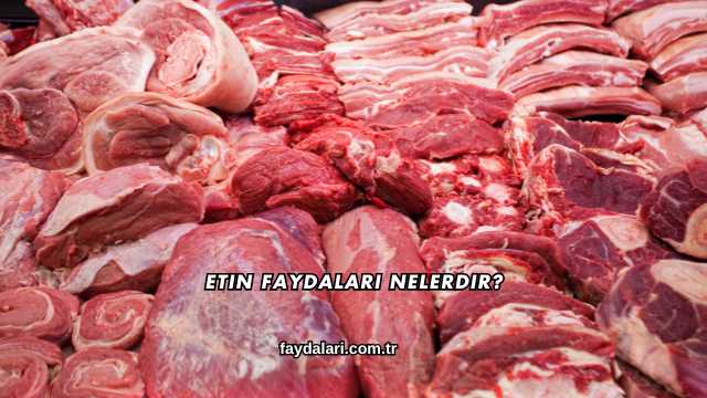 Etin Faydaları Nelerdir?