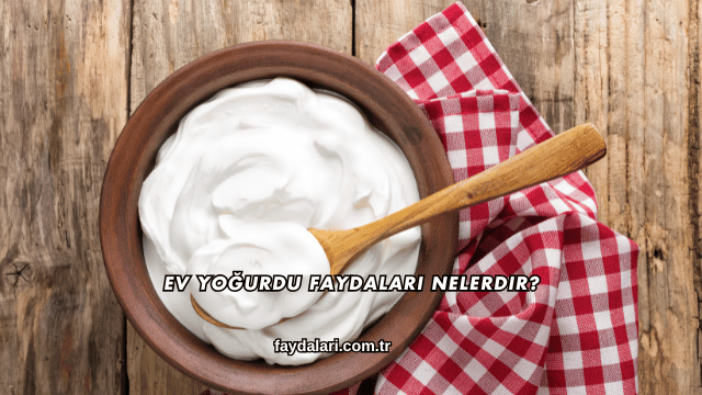 Ev Yoğurdu Faydaları Nelerdir?