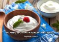 Ev Yoğurdunun Faydaları Nelerdir?