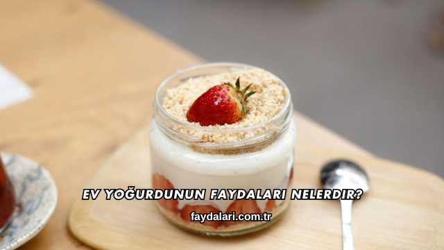 Ev Yoğurdunun Faydaları Nelerdir?