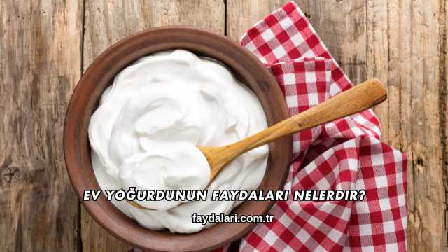 Ev Yoğurdunun Faydaları Nelerdir?