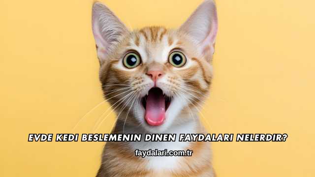 Evde Kedi Beslemenin Dinen Faydaları Nelerdir?