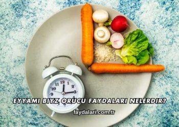 Eyyamı Biyz Orucu Faydaları Nelerdir?