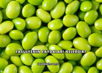 Fasulyenin Faydaları Nelerdir?