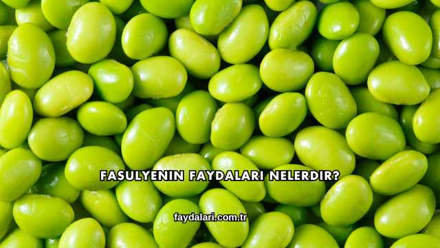 Fasulyenin Faydaları Nelerdir?