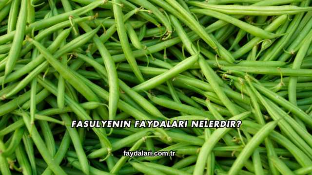 Fasulyenin Faydaları Nelerdir?