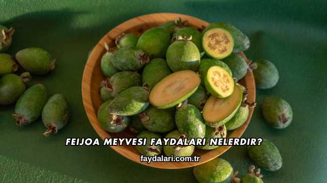 Feijoa Meyvesi Faydaları Nelerdir?
