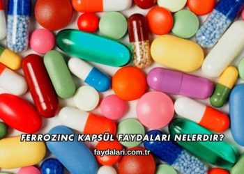 Ferrozinc Kapsül Faydaları Nelerdir?