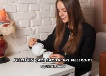 Fesleğen Çayı Faydaları Nelerdir?