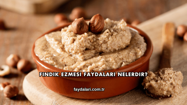 Fındık Ezmesi Faydaları Nelerdir?