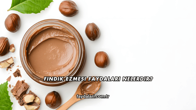 Fındık Ezmesi Faydaları Nelerdir?