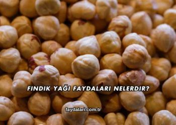 Fındık Yağı Faydaları Nelerdir?