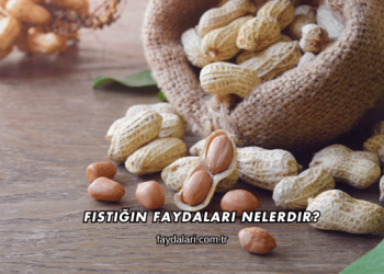 Fıstığın Faydaları Nelerdir?