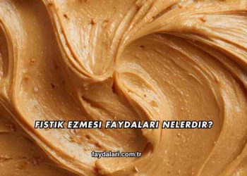 Fıstık Ezmesi Faydaları Nelerdir?