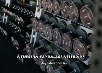 Fitness'ın Faydaları Nelerdir?
