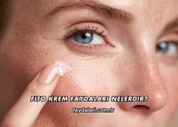 Fito Krem Faydaları Nelerdir?