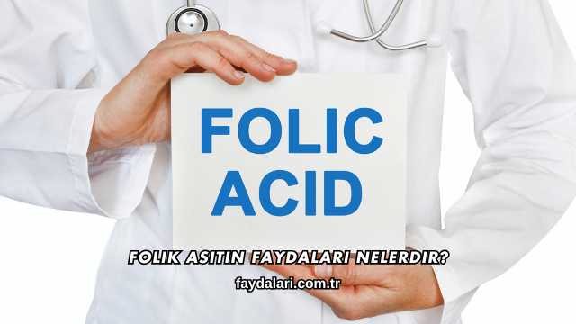 Folik Asitin Faydaları Nelerdir?