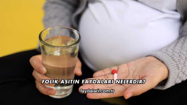 Folik Asitin Faydaları Nelerdir?