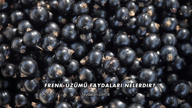 Frenk Üzümü Faydaları Nelerdir?