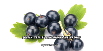 Frenk Yemişi Faydaları Nelerdir?