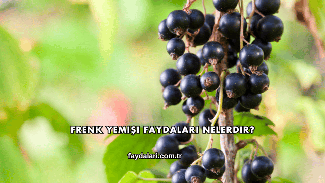 Frenk Yemişi Faydaları Nelerdir?