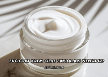 Fucicort Krem Cilde Faydaları Nelerdir?