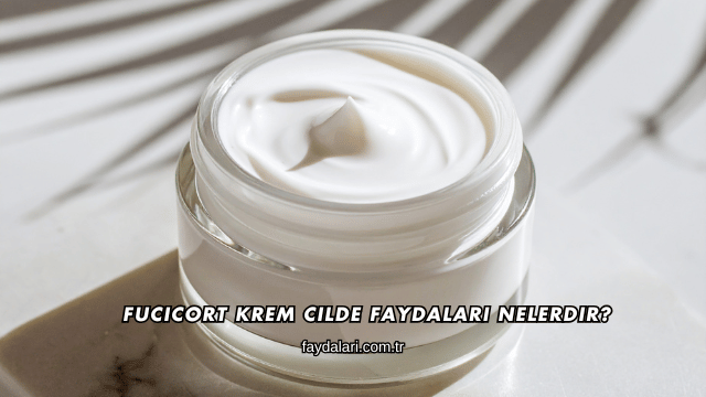 Fucicort Krem Cilde Faydaları Nelerdir?
