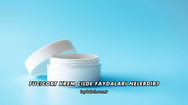 Fucicort Krem Cilde Faydaları Nelerdir?
