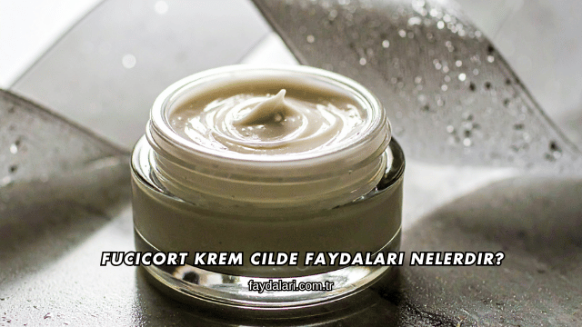 Fucicort Krem Cilde Faydaları Nelerdir?