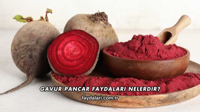 Gavur Pancar Faydalari Nelerdir?