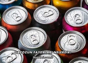 Gazozun Faydaları Nelerdir?