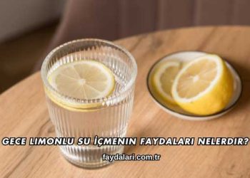 Gece Limonlu Su İçmenin Faydaları Nelerdir?