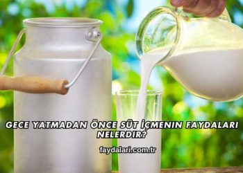 Gece Yatmadan Önce Süt İçmenin Faydaları Nelerdir?