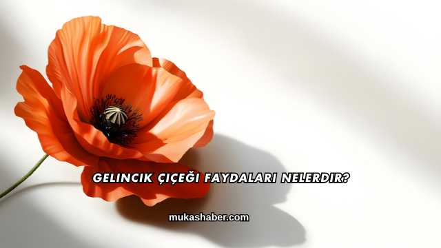 Gelincik Çiçeği Faydaları Nelerdir?