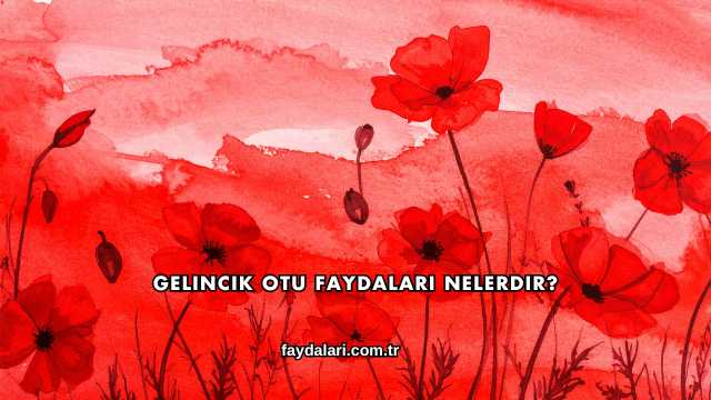 Gelincik Otu Faydaları Nelerdir?