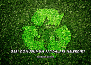 Geri Dönüşümün Faydaları Nelerdir?