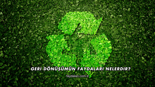 Geri Dönüşümün Faydaları Nelerdir?