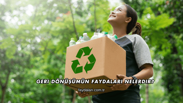 Geri Dönüşümün Faydaları Nelerdir?