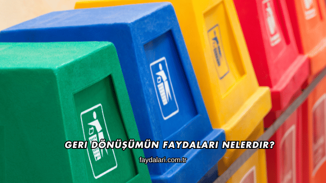 Geri Dönüşümün Faydaları Nelerdir?