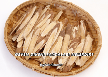 Geven Dikeni Faydaları Nelerdir?