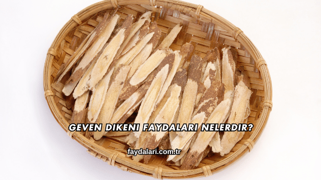 Geven Dikeni Faydaları Nelerdir?