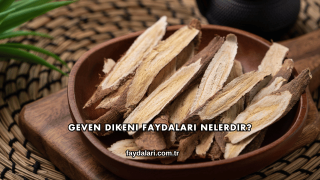 Geven Dikeni Faydaları Nelerdir?