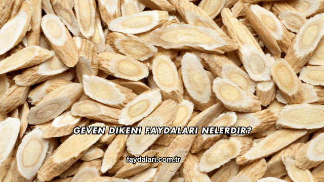 Geven Dikeni Faydaları Nelerdir?